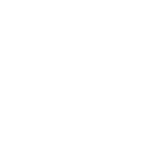 twitter-icon